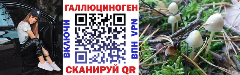 наркошоп  Волоколамск  гидра онион  Галлюциногенные грибы Psilocybine cubensis 
